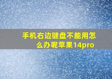 手机右边键盘不能用怎么办呢苹果14pro