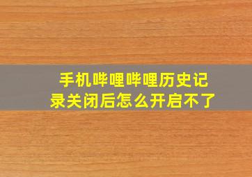 手机哔哩哔哩历史记录关闭后怎么开启不了