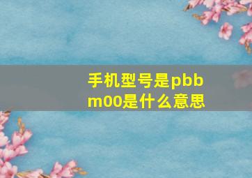 手机型号是pbbm00是什么意思