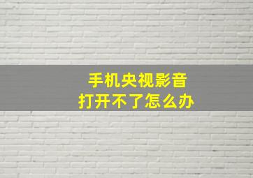 手机央视影音打开不了怎么办