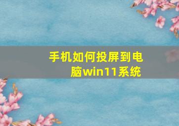 手机如何投屏到电脑win11系统