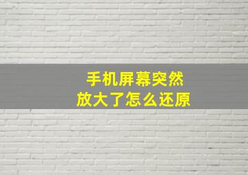 手机屏幕突然放大了怎么还原