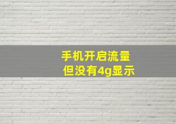 手机开启流量但没有4g显示