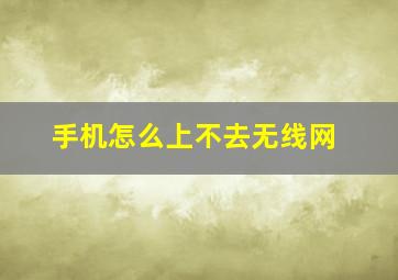 手机怎么上不去无线网