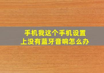 手机我这个手机设置上没有蓝牙音响怎么办