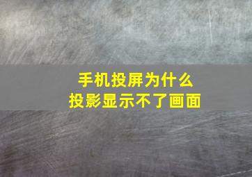 手机投屏为什么投影显示不了画面