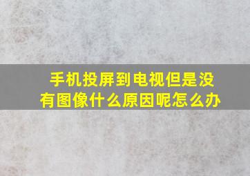 手机投屏到电视但是没有图像什么原因呢怎么办