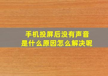 手机投屏后没有声音是什么原因怎么解决呢