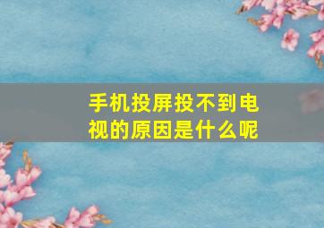 手机投屏投不到电视的原因是什么呢