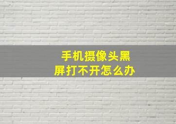 手机摄像头黑屏打不开怎么办