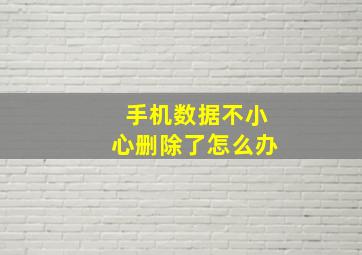 手机数据不小心删除了怎么办