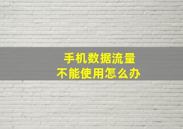 手机数据流量不能使用怎么办