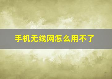 手机无线网怎么用不了