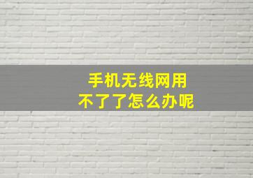 手机无线网用不了了怎么办呢