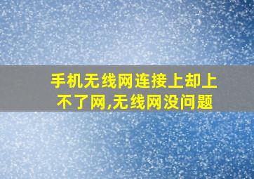 手机无线网连接上却上不了网,无线网没问题