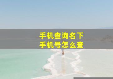 手机查询名下手机号怎么查