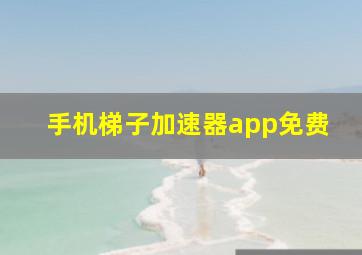 手机梯子加速器app免费