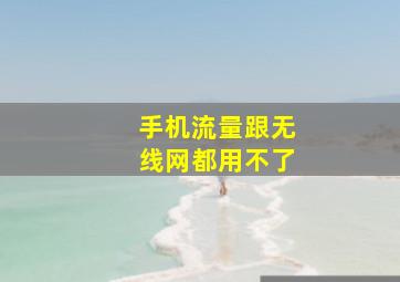 手机流量跟无线网都用不了