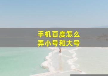 手机百度怎么弄小号和大号