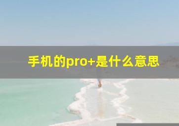 手机的pro+是什么意思