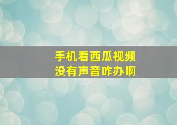 手机看西瓜视频没有声音咋办啊