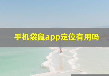 手机袋鼠app定位有用吗