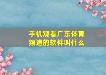 手机观看广东体育频道的软件叫什么