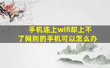 手机连上wifi却上不了网别的手机可以怎么办