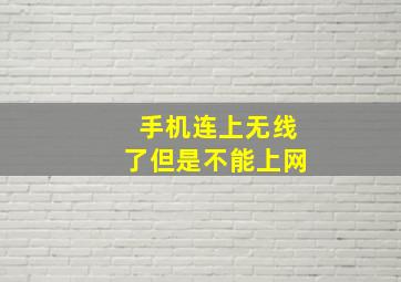 手机连上无线了但是不能上网