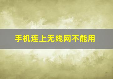 手机连上无线网不能用