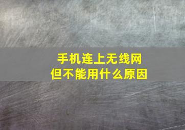 手机连上无线网但不能用什么原因