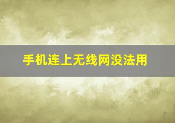 手机连上无线网没法用