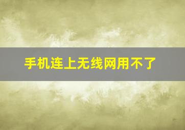 手机连上无线网用不了