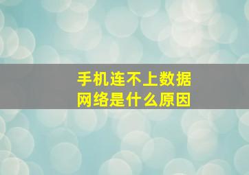 手机连不上数据网络是什么原因