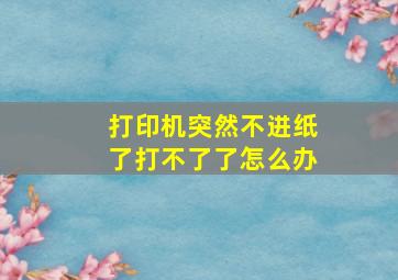 打印机突然不进纸了打不了了怎么办