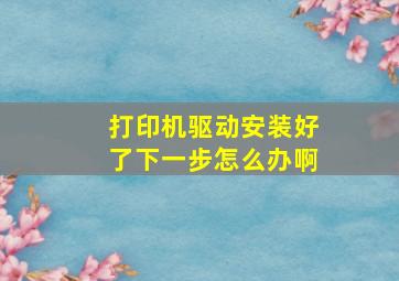 打印机驱动安装好了下一步怎么办啊