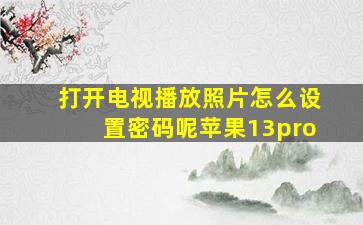 打开电视播放照片怎么设置密码呢苹果13pro