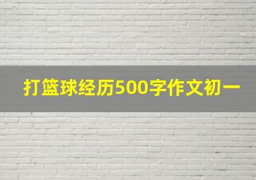 打篮球经历500字作文初一