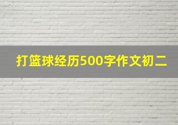 打篮球经历500字作文初二