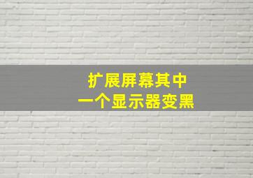 扩展屏幕其中一个显示器变黑