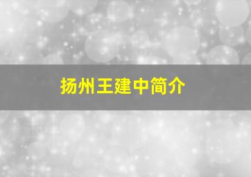 扬州王建中简介