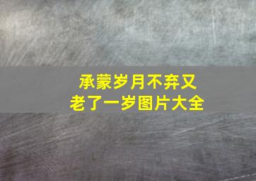 承蒙岁月不弃又老了一岁图片大全