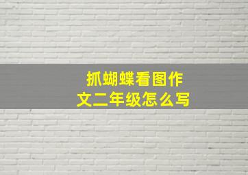 抓蝴蝶看图作文二年级怎么写