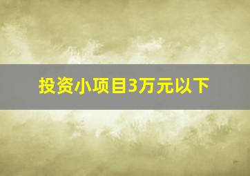 投资小项目3万元以下