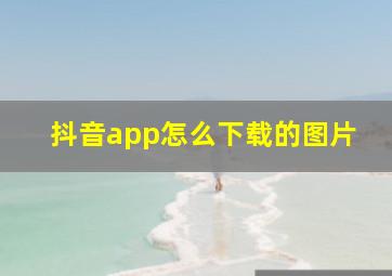 抖音app怎么下载的图片