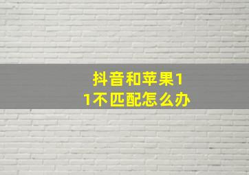 抖音和苹果11不匹配怎么办