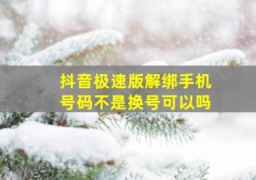 抖音极速版解绑手机号码不是换号可以吗