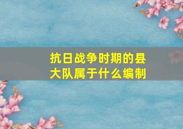 抗日战争时期的县大队属于什么编制