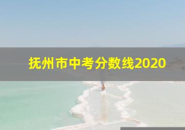 抚州市中考分数线2020