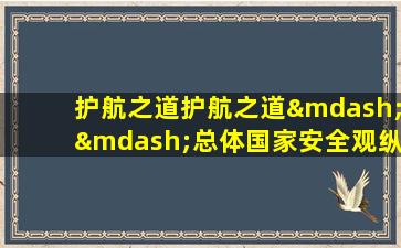 护航之道护航之道——总体国家安全观纵横